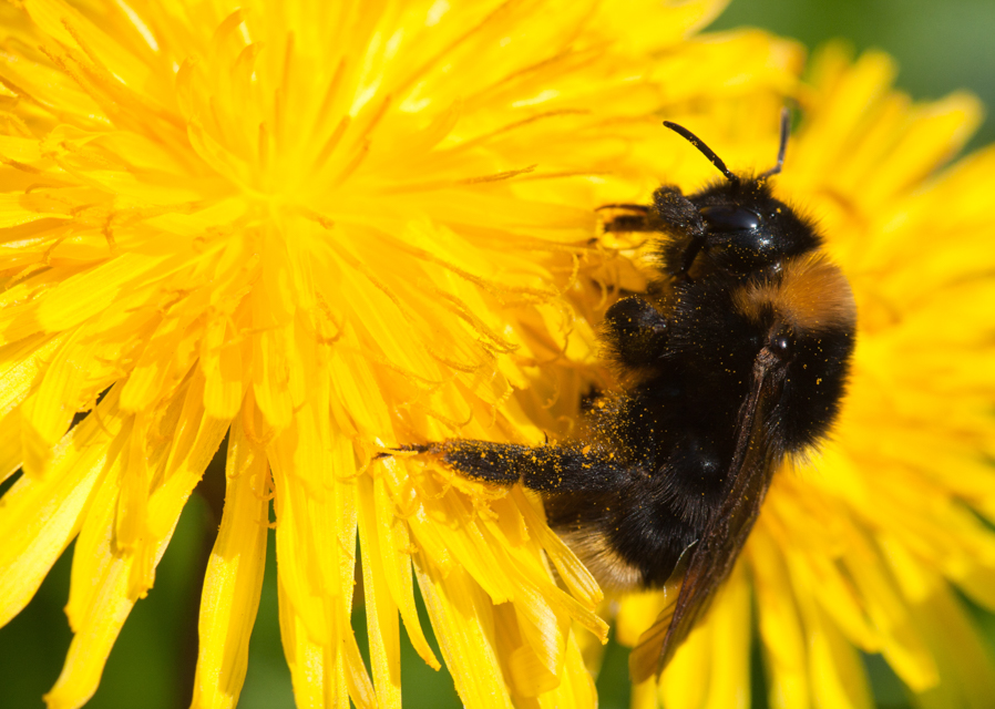 Latest report on climate impacts must herald new era of urgent action