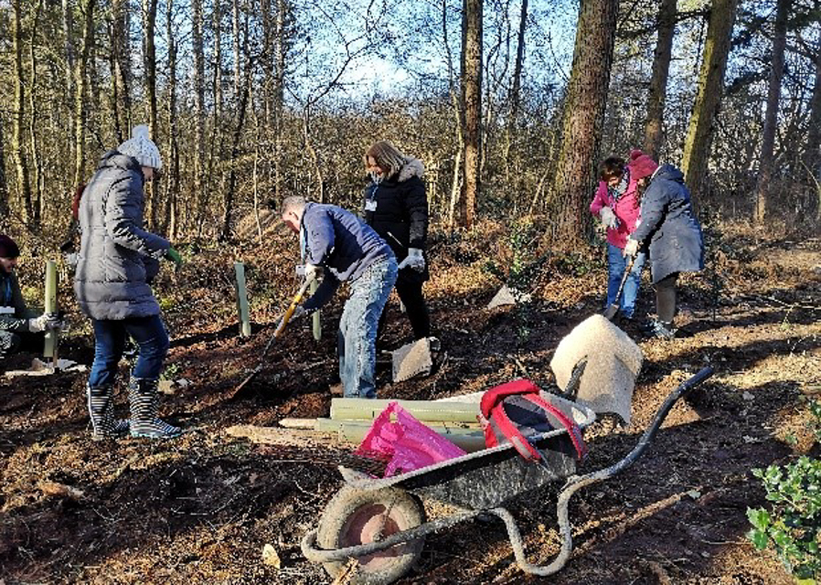 Crowdfunder sows seeds for tomorrow in Sherwood Forest