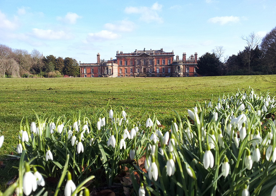 Walk through the magical snowdrop flurries at Rotherham stately home Wentworth Woodhouse