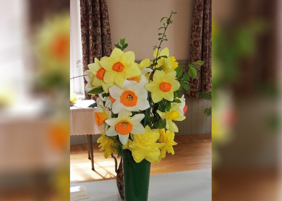Daffodil Delight returns to Kirton