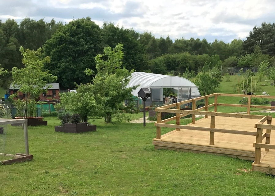Climate change: why not save emissions and grow your own fruit and vegetables?