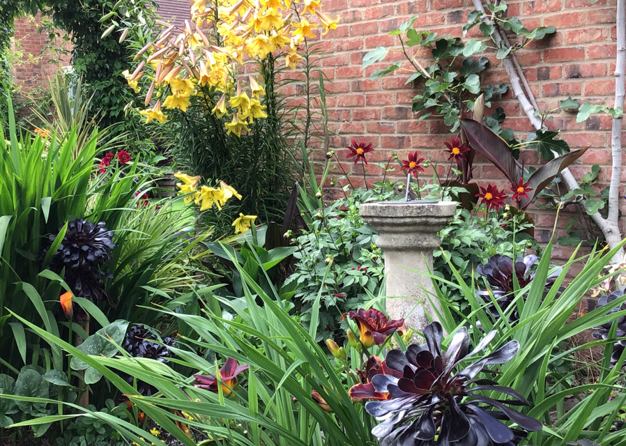 Gardens galore open for charity in July