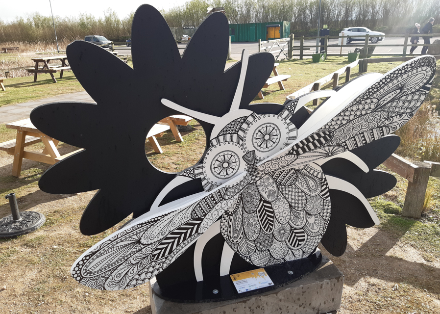 Nottinghamshire Wildlife Trust (1) – July 2022