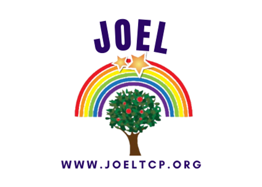 JOEL: supporting families through pregnancy and parenting after baby loss