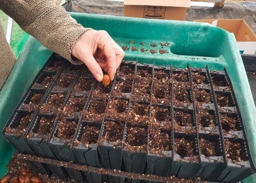 Feel Good Gardens and Sherwood Forest Trust’s new project