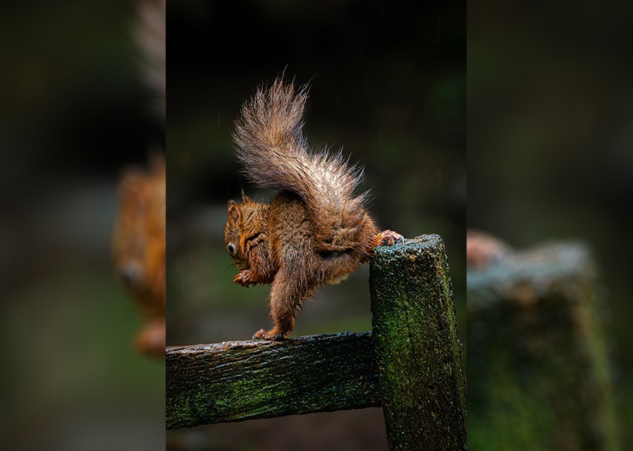 Retford and District Photographic Society