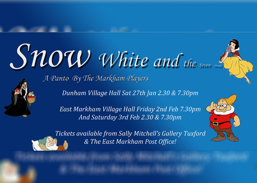 Markham Players Panto