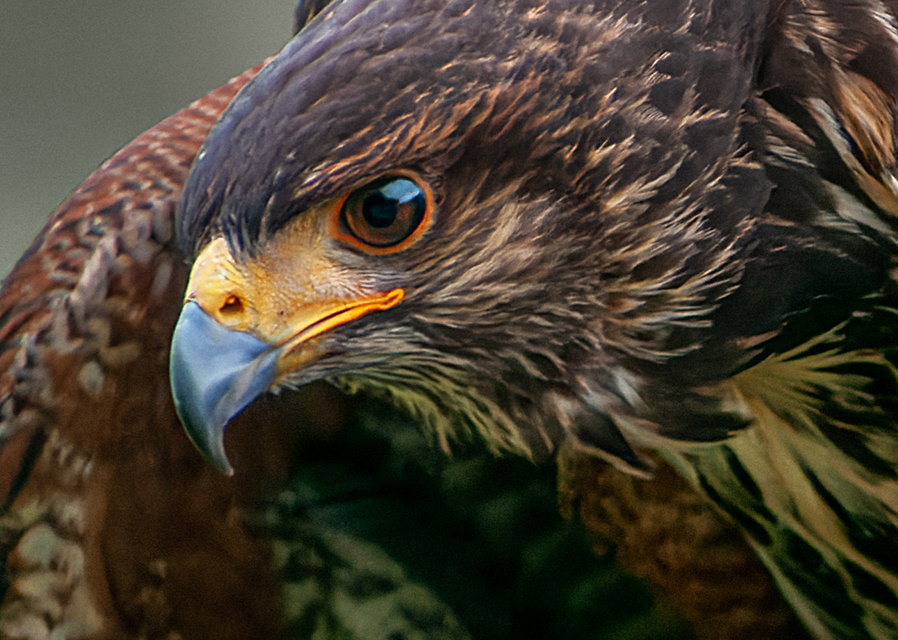 Retford and District Photographic Society