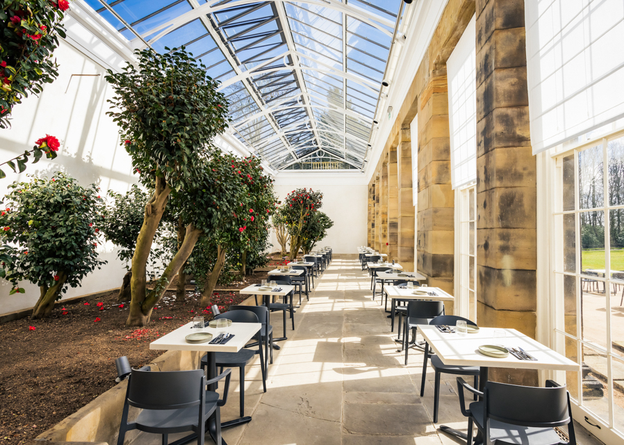 Restored and reimagined – Wentworth Woodhouse’s historic Camellia House blooms again