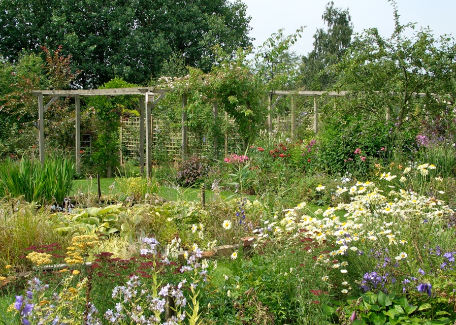 High summer gardens open