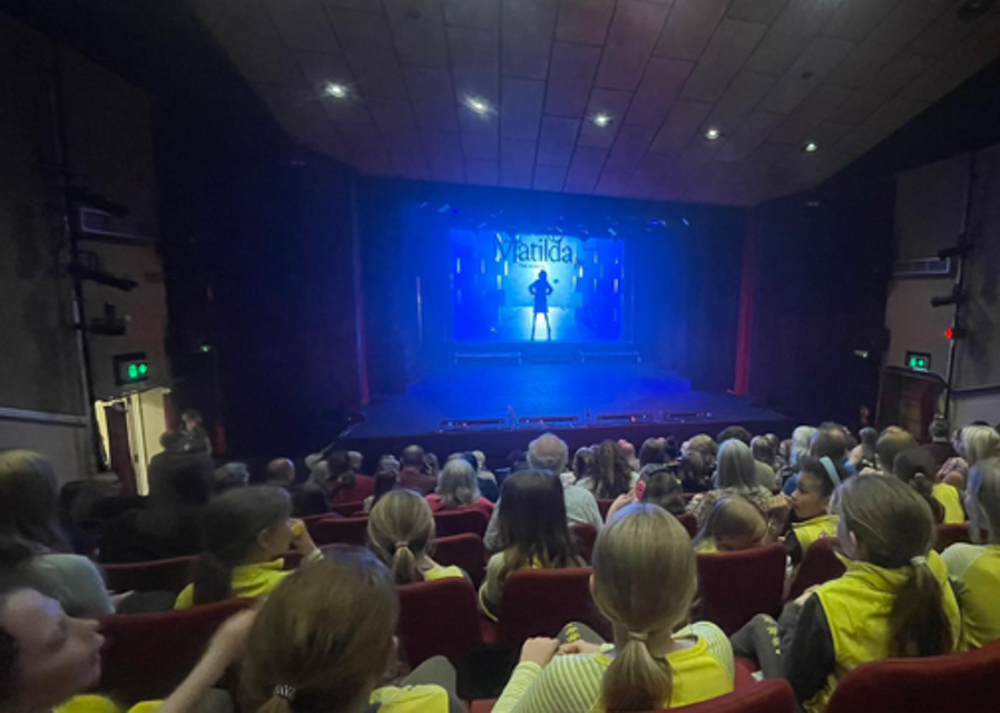 11th Rotherham Brownie Pack