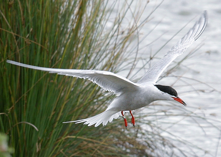 September wildlife