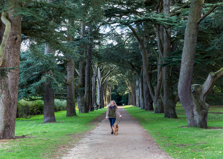 National Trust launches new Pooch Passport scheme in partnership with Forthglade