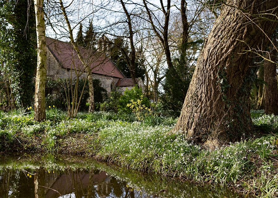NGS Nottinghamshire Snowdrop Festival, 2025