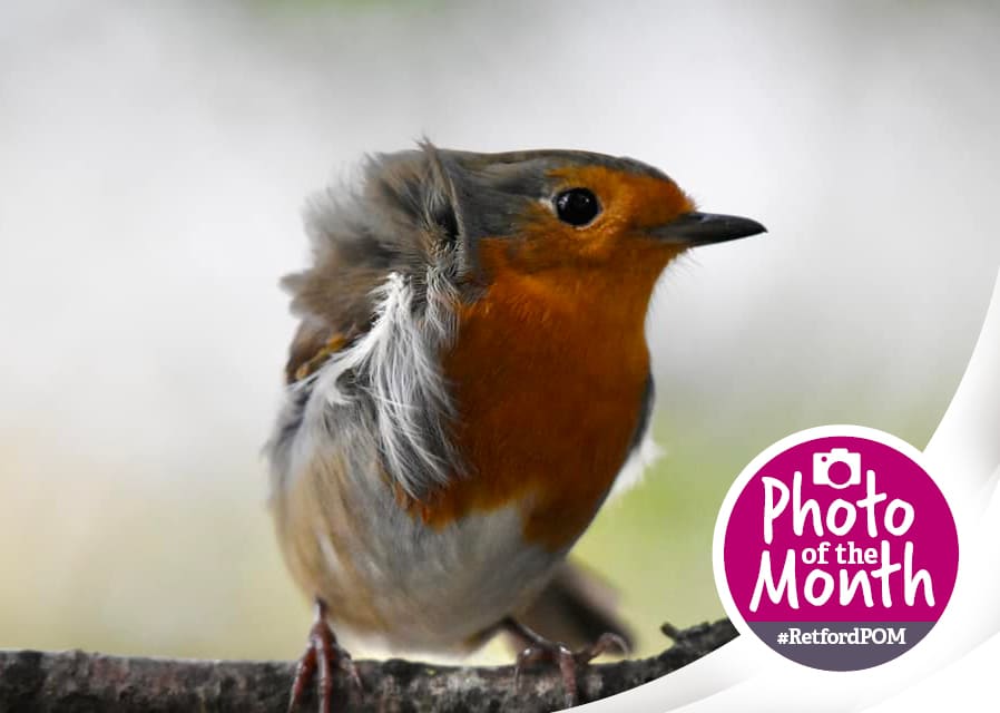 #RetfordPOM – December 2024 winner