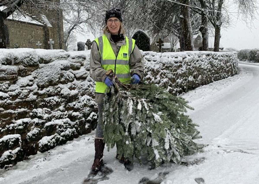 Recycle your Christmas tree