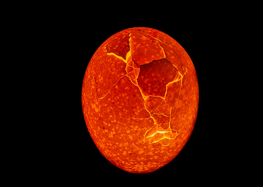 Eggciting response