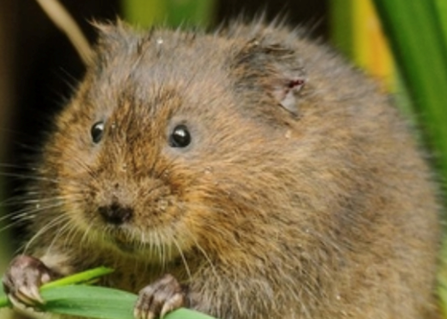 Nottinghamshire Environmental Association