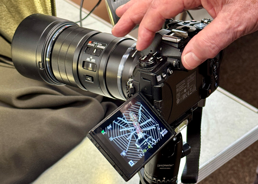 Snappers Camera Club – Spring tabletop practical