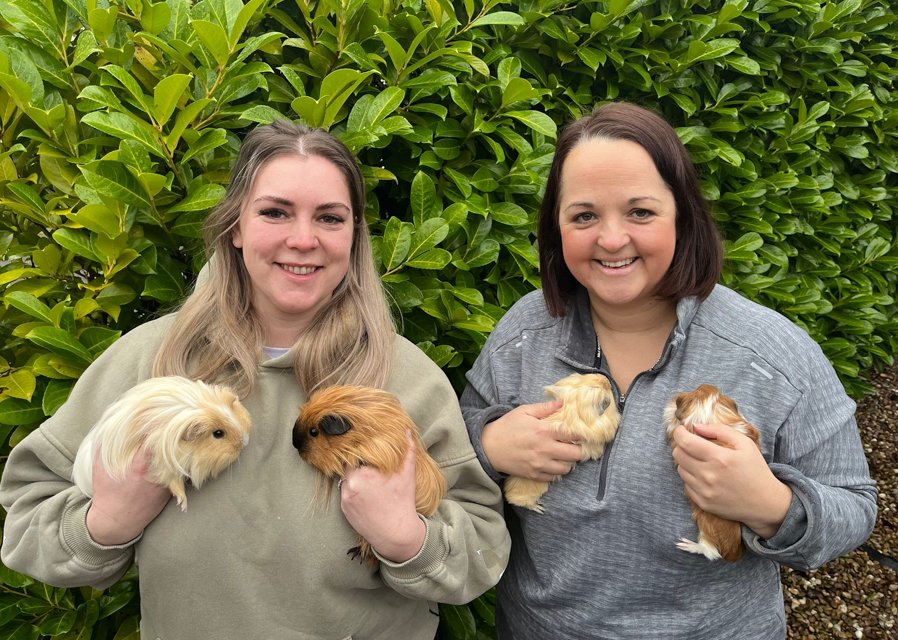 Mansfield Guinea Pig Rescue celebrates its first anniversary