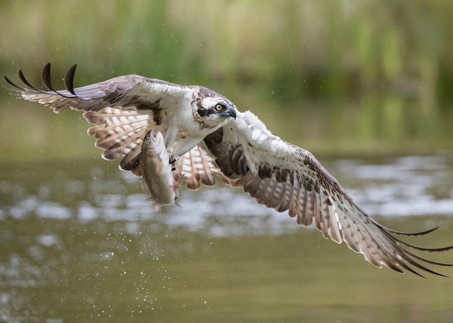 Retford and District Photographic Society