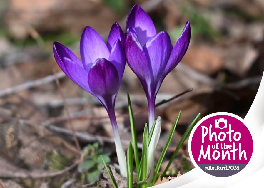 #RetfordPOM – March 2025 winner