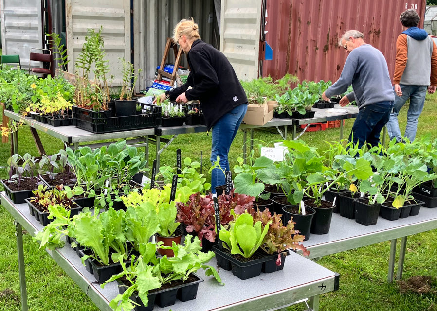 East Markham Gardeners