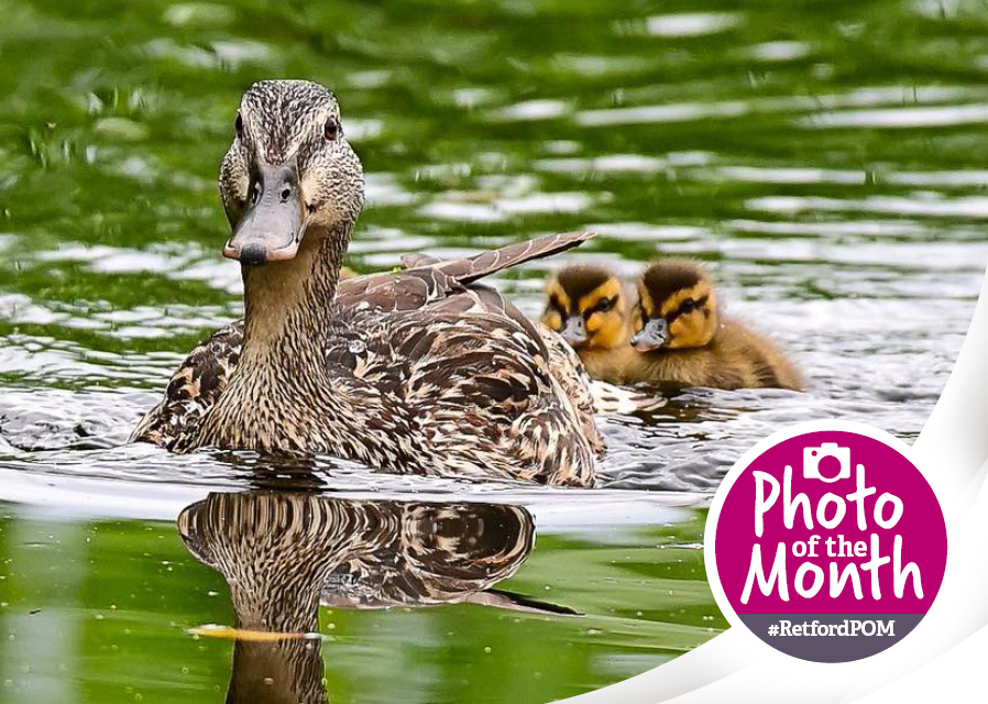 #RetfordPOM – April 2025 winner