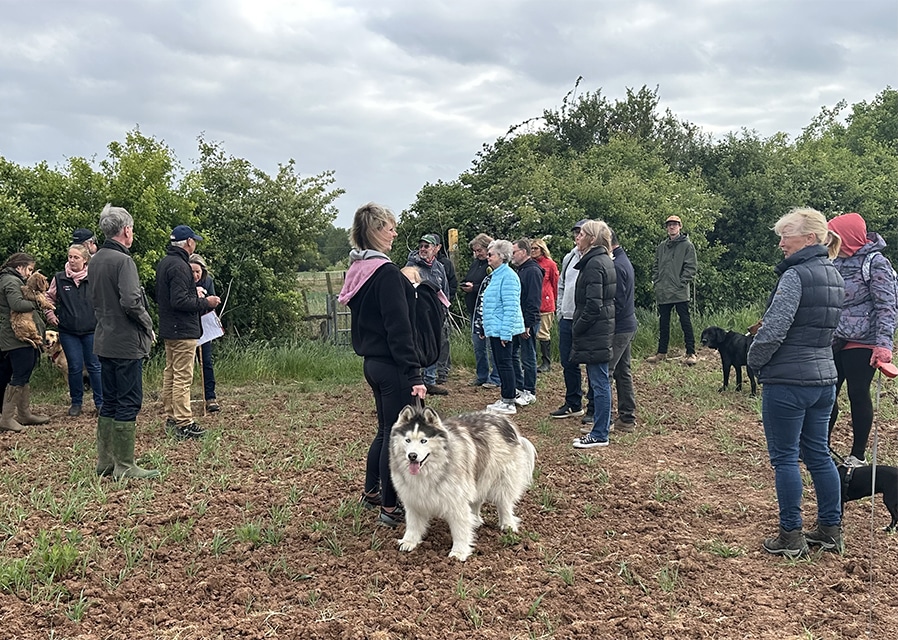 Could you lead by example?