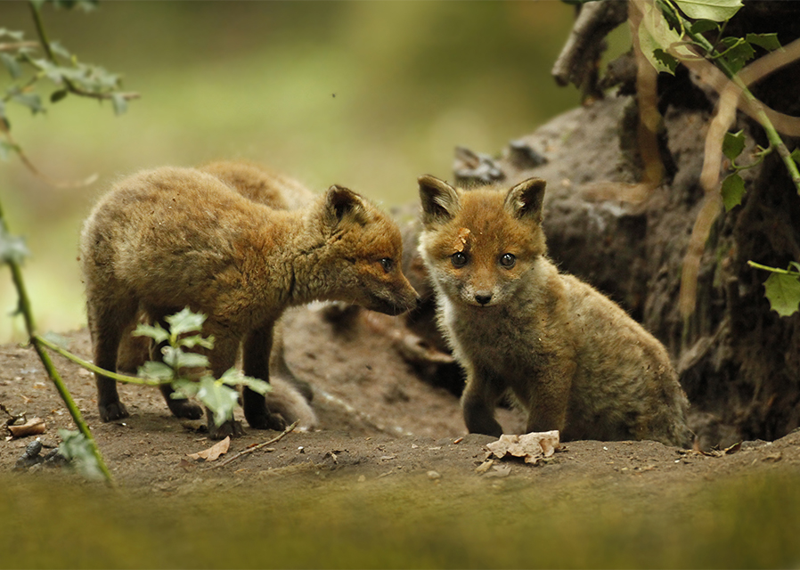 August sees summer segue into autumn