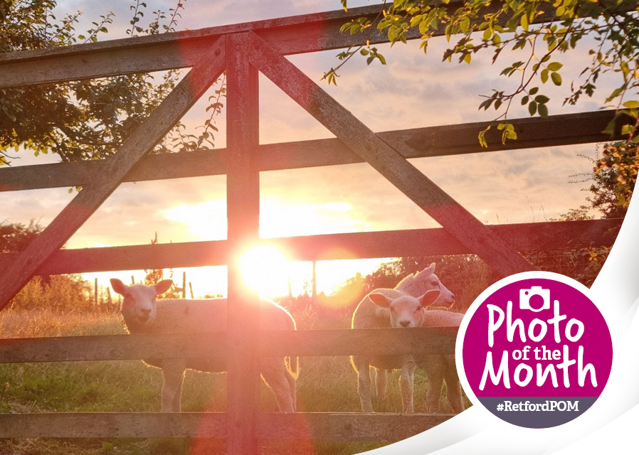 #RetfordPOM – July 2025 winner