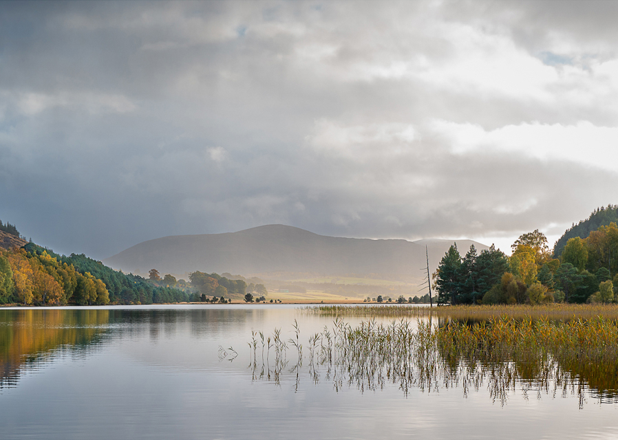 Preparations for the new season