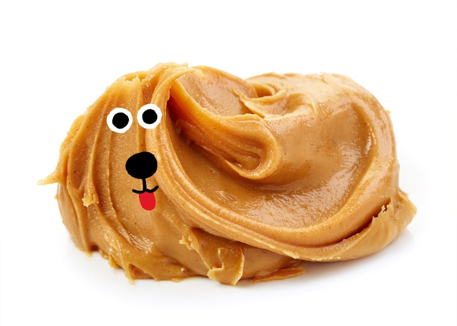 International artists celebrate our love of dogs in summer exhibition at The Harley Gallery