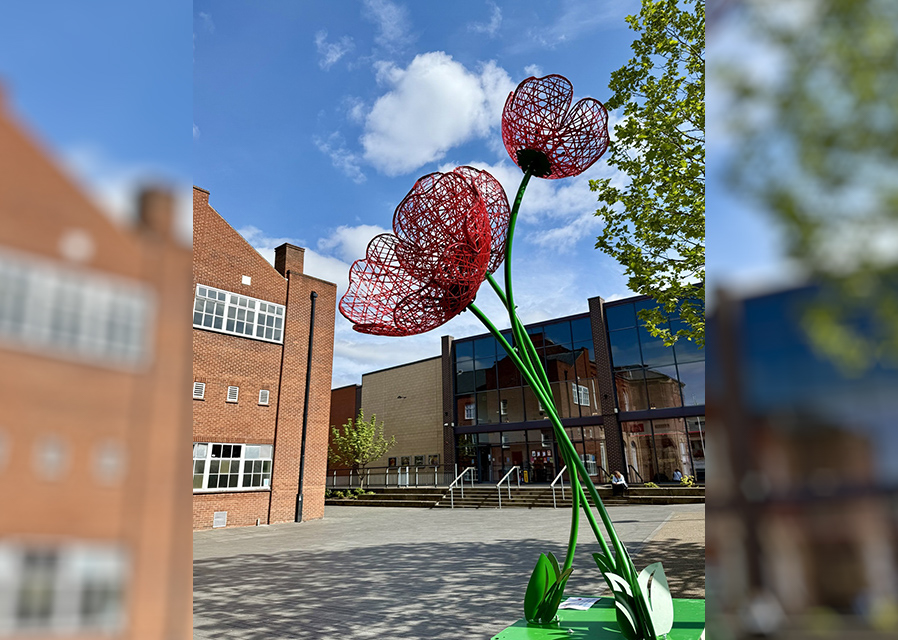 BID calls for community poppy creations ahead of Remembrance Day commemorations