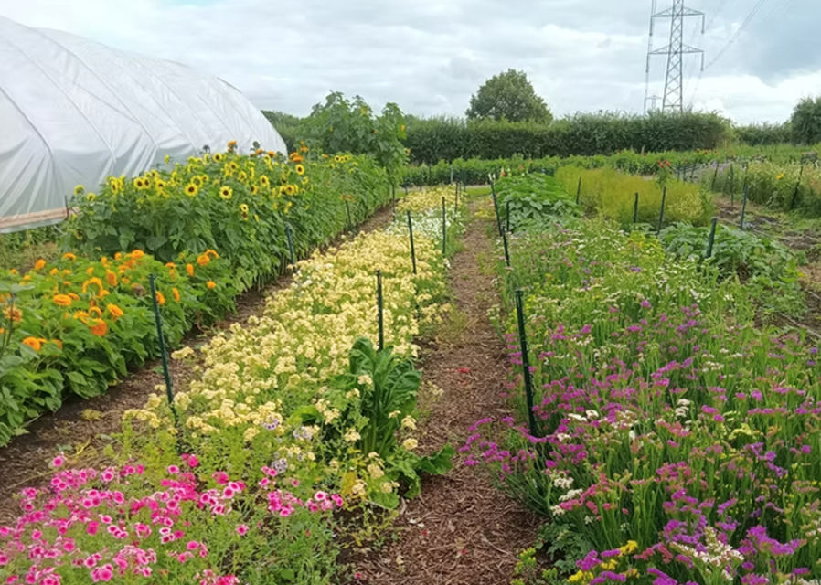 Nottinghamshire Environmental Association