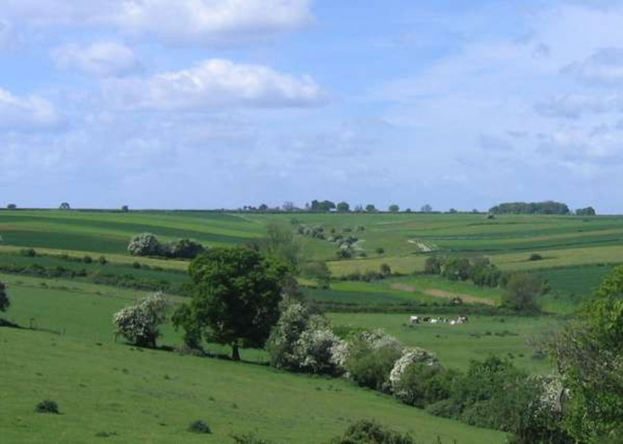 Retford and District Historical and Archaeological Society