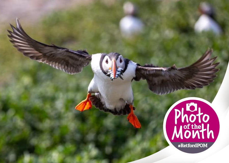 #RetfordPOM – August 2025 winner