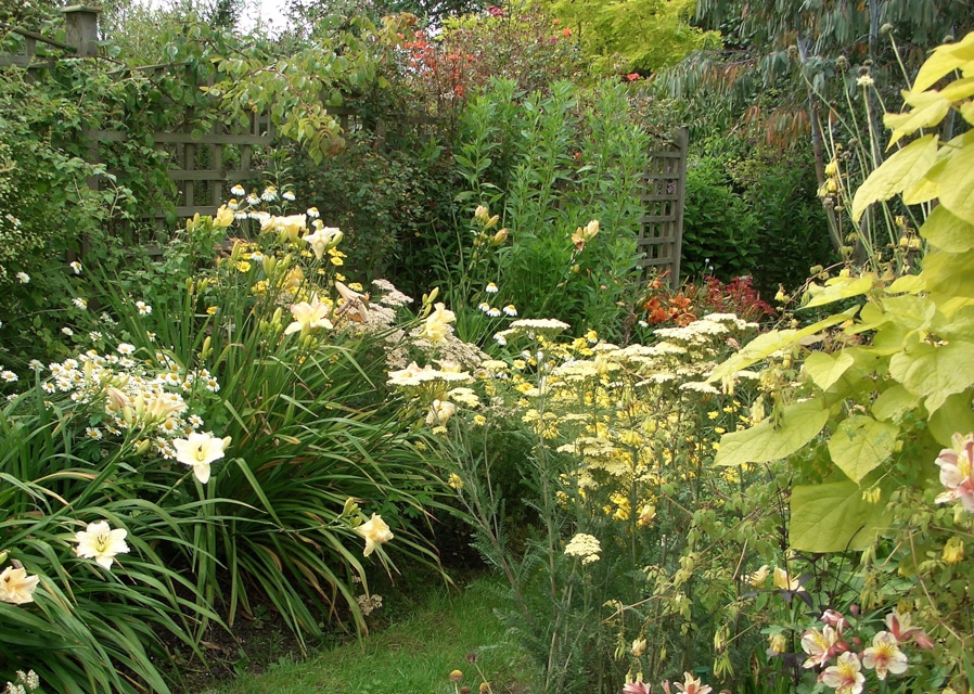 Final open garden for 2025