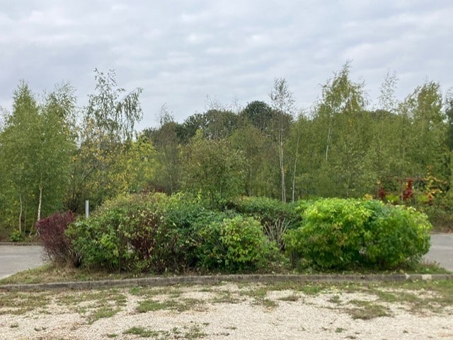 Friends of Woodlands and Coachwood Green