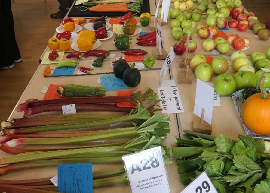 Kirton in Lindsey Amateur Gardeners