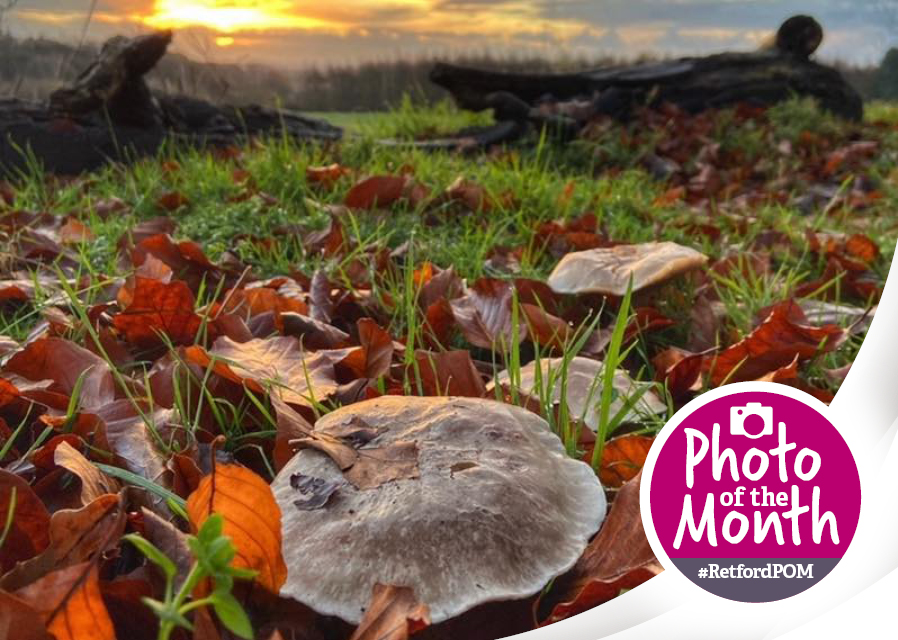 #RetfordPOM – October 2025 winner