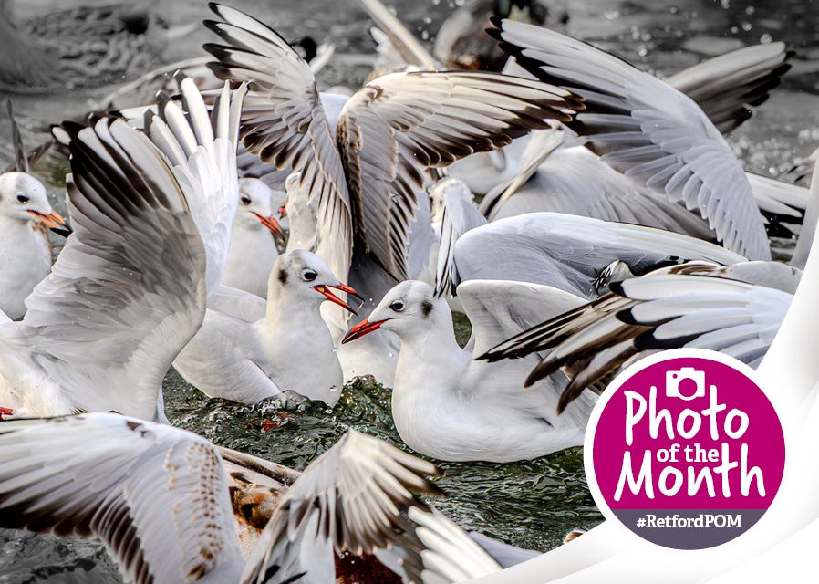 #RetfordPOM – January 2026 winner