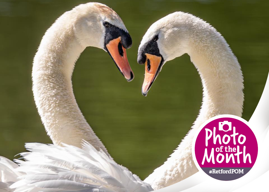 #RetfordPOM – February 2026 winner