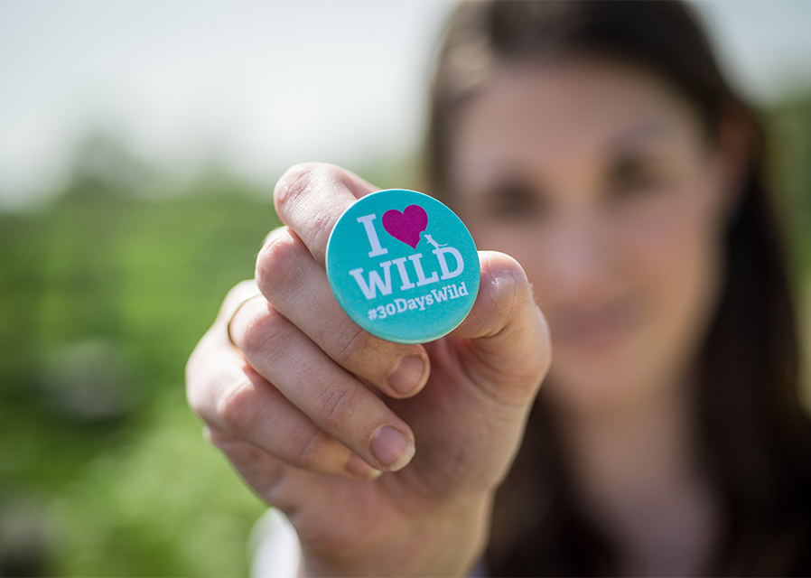 Early planning should set up a wild summer