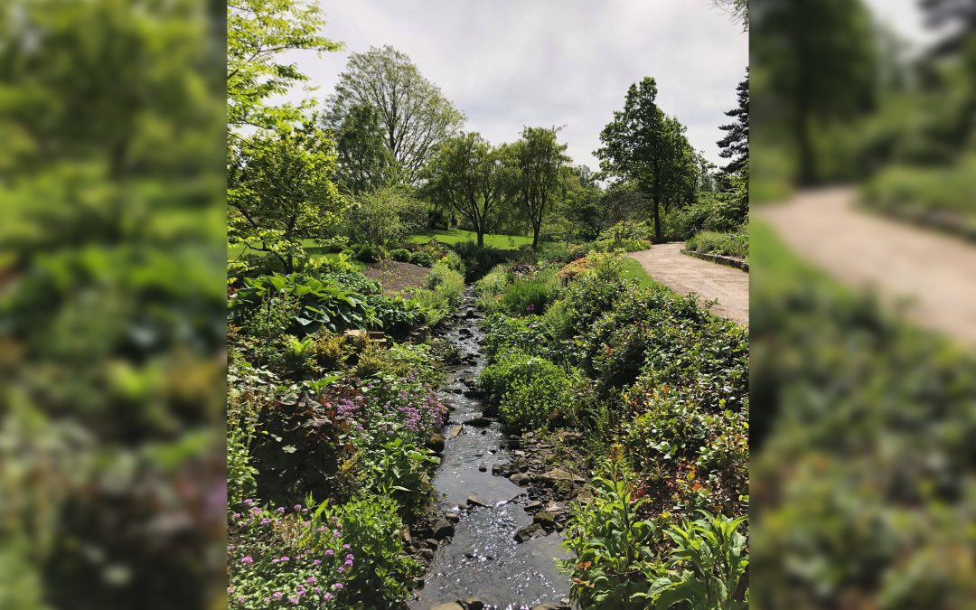 Kirton in Lindsey Amateur Gardeners Annual Show