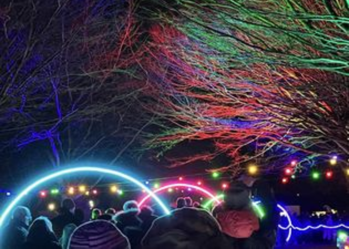 Mansfield Light Night