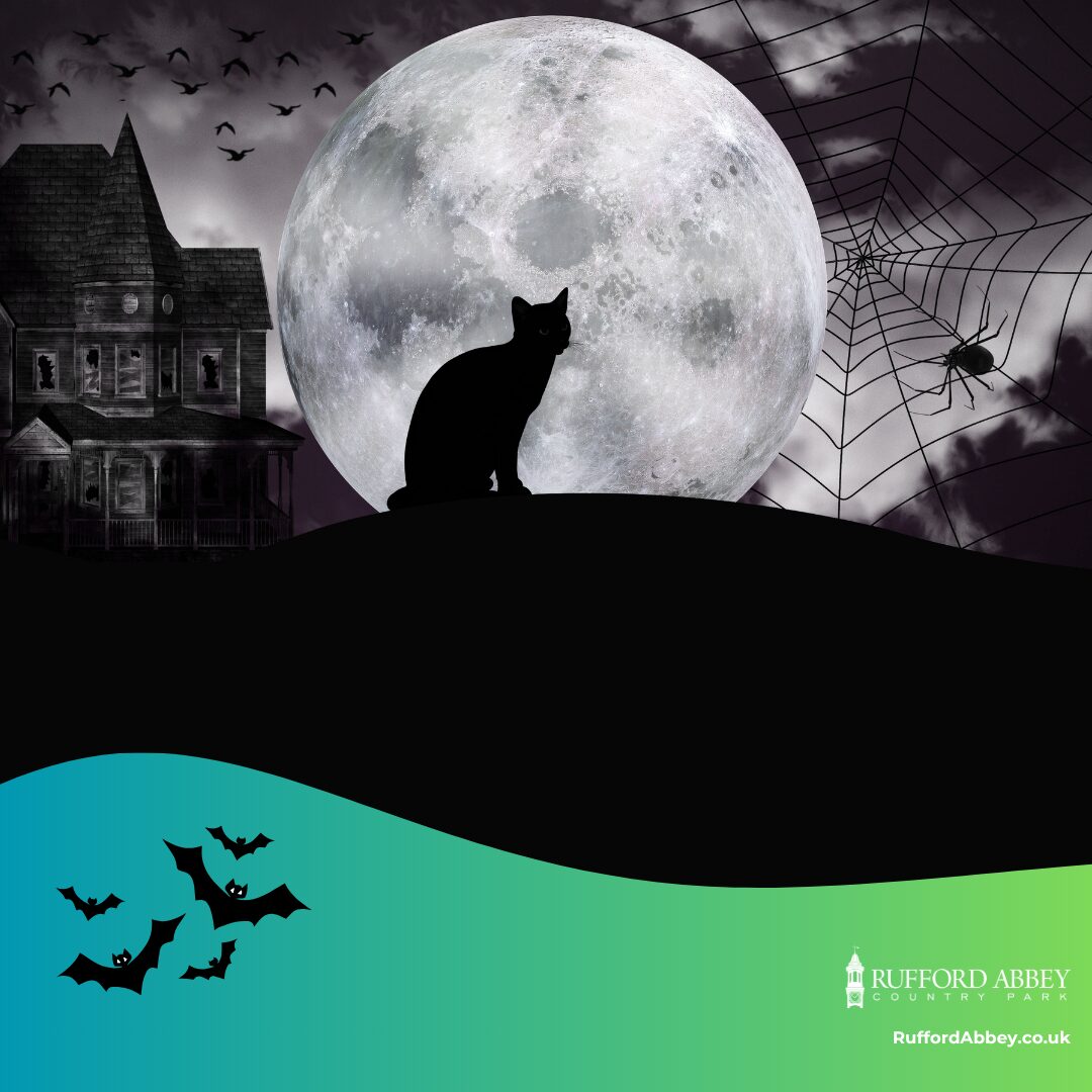 Fun Size Halloween Trail at Rufford